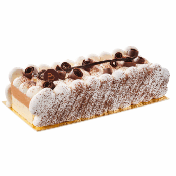 Cassiopée - Bûche glacée