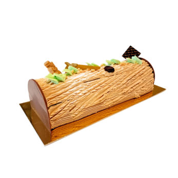 Bûche traditionnelle Praliné